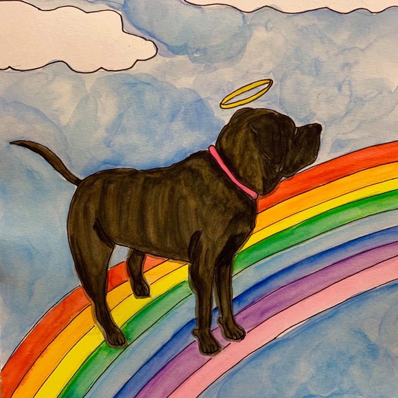 Meet your Posher, Jan - Picture 6 of 7